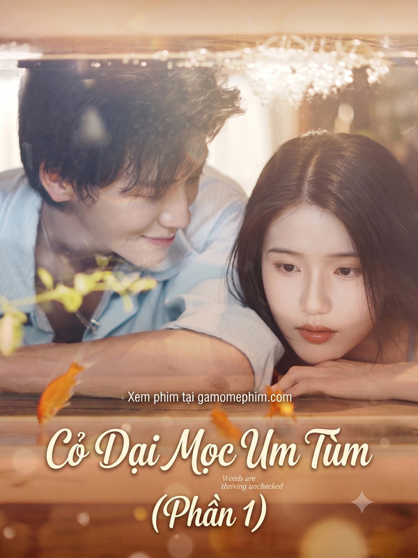 Phần 1 - Cỏ Dại Mọc Um Tùm